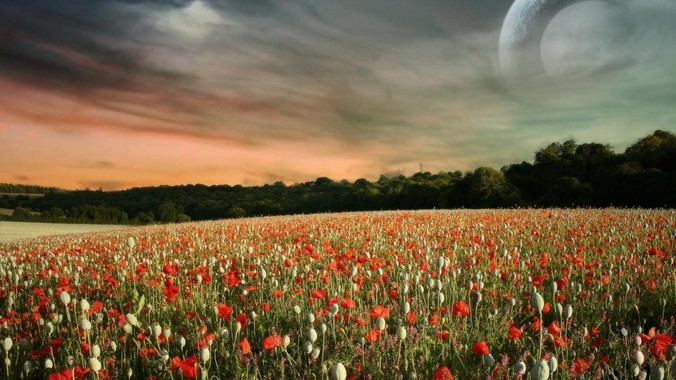 为什么程序员的电脑永远没有弹窗广告?